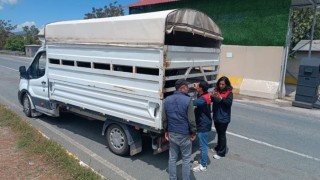 Elazığda Kurban Bayramı öncesi hayvan sevklerine sıkı denetim