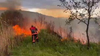 Elazığda otluk alanda yangın