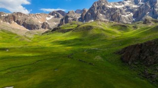 Erzincanda 2 bin 500 rakımdaki yayla hayran bırakıyor