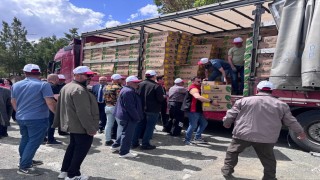 Erzincanda 220 üreticiye 779 bin 520 sebze fidesi dağıtıldı
