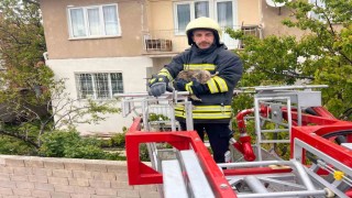 Erzincanda çatıda mahsur kalan kedi itfaiye ekiplerince kurtarıldı