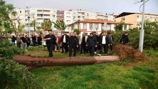 Fırtına sonrası vali, kaymakam ve belediye başkanı bölgede incelemede bulundu