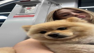 Gaziosmanpaşada petshopta yıkanan köpeğin ihmalden öldüğü iddiası