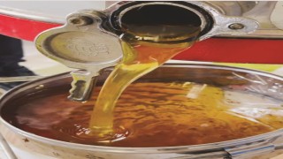 Gazipaşada çiçek balı hasadı başladı