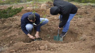 Gümüşhane Üniversitesinde akademisyenler için meyve bahçesi oluşturuldu