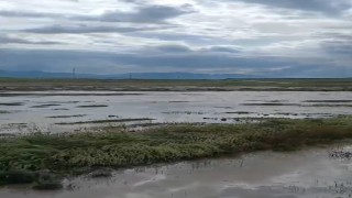 Günyüzüde aşırı yağış sonucunda sel meydana geldi