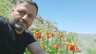 Hakkaride 2 bin 700 rakımda ters laleler görüntülendi
