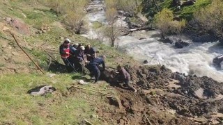 Hakkaride bataklığa saplanan inek kurtarıldı