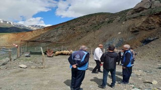 Hakkaride Kurban pazarı hareketlendi