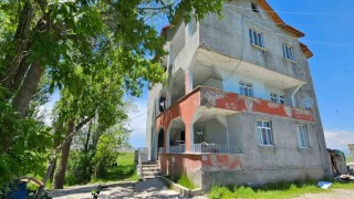 Hasköyde yılanlar bir evi sardı: Aile geceleri uyuyamıyor