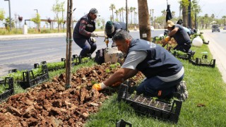 Hatay’da Bayram Öncesi Çevre Düzenleme Çalışmaları Hız Kazandı