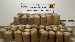 Hatayda Jandarmadan geniş çaplı asayiş operasyonu