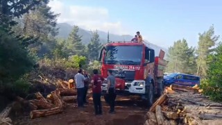 Hatayda ormanı yangını çıktı