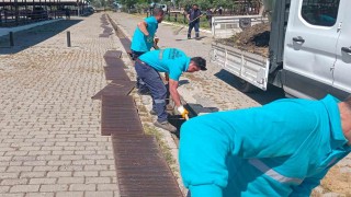 Hayvan pazarında bayram mesaisi başladı