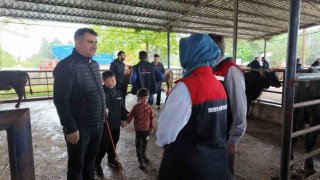 Hayvan sevkiyatına sıkı kontrol