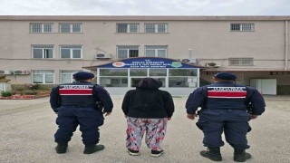 Hırsızlık suçundan aranan şahıs Nazillide yakalandı