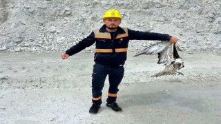 Hisarcıkta maden sahasında bitkin halde bulunan balık kartalı tedavi altına alındı