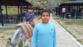 Homurluda eşek turları başladı