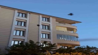 Iğdırda kargaların saldırısına uğrayan saz delicesi kameraya yansıdı