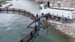 İhraç edilecek ‘Türk somonları için yavru balıklar suya bırakıldı