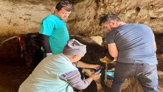 İhsaniyede şap hastalığına karşı çalışma yapıldı