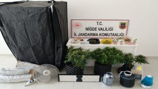 İklimlendirme sistemiyle yasa dışı ekim yapan 4 şüpheli gözaltına alındı