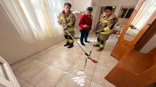 İskenderunda eve giren yılanı itfaiye yakaladı