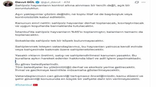 İstanbul Valisi Davut Gül: Sahipsiz hayvanların yüzde 46sı toplanmıştır; kalanların tamamı da toplanacaktır