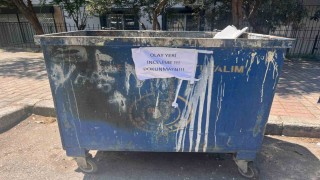 İzmirde çöpte 33 ölü kedi bulunmasıyla ilgili bir veteriner gözaltına alındı