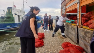 İzmirde yasa dışı su ürünleri avcılarına ağır darbe: 7 ton kaçak midye ele geçirildi