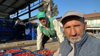 İznikte mevsimin ilk karabodur kirazı hasadı başladı