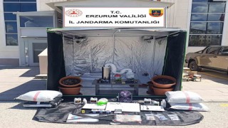 Jandarmadan narko operasyon