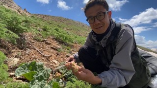 Japonyadan Yüksekovaya uzanan doğa yolculuğu