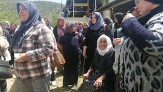 Kansere çare ararken trafik kazasında eşiyle birlikte hayatını kaybetti