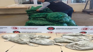 Kapıkulede 760 kilo kaçak midye ele geçirildi