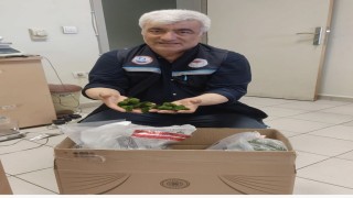 Kapıkulede yolcu otobüsünde 2 bin adet canlı yeşil alg ele geçirildi