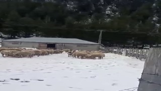Kar kalınlığı 1 metreye ulaştı, mahsur kalan vatandaş kurtarıldı