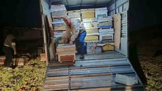 Karadenizin gezgin arıcıları yeni sezon için Doğu Anadolunun dağlarını mesken tuttu