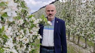 Karamanda 16 milyon elma ağacı çiçek açarak gelinliğini giydi