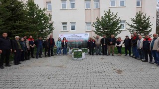 Karsta sebze üretimine destek: Binlerce fide üreticiyle buluştu