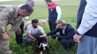 Kaymakam Baycar, göçer üreticilerin sorunlarını yerinde dinledi