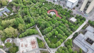 Kayseride 300 bin kök organik domates fidesine yoğun ilgi