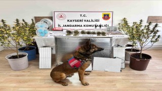 Kayseride uyuşturucu operasyonu