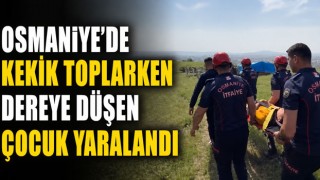 Osmaniye'de Kekik Toplarken Dereye Düşen Çocuk Yaralandı