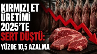 Kırmızı Et Üretimi 2025’te Sert Düştü: Yüzde 10,5 Azalma