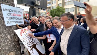 Kökten Hayata Şenliğine yoğun ilgi