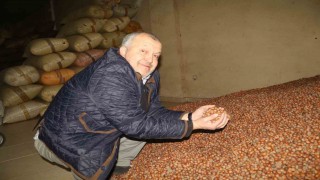 Kurban Bayramı öncesi fındık fiyatları geriledi