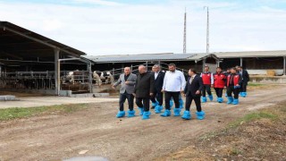 Kurban Bayramı öncesi hayvancılık işletmelerinde inceleme