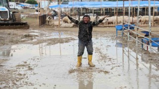 Kurban pazarlarını su bastı, besiciler belediyeye isyan etti