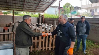 Kurbanlıklar satışa çıktı, pazarlıklar kızıştı
